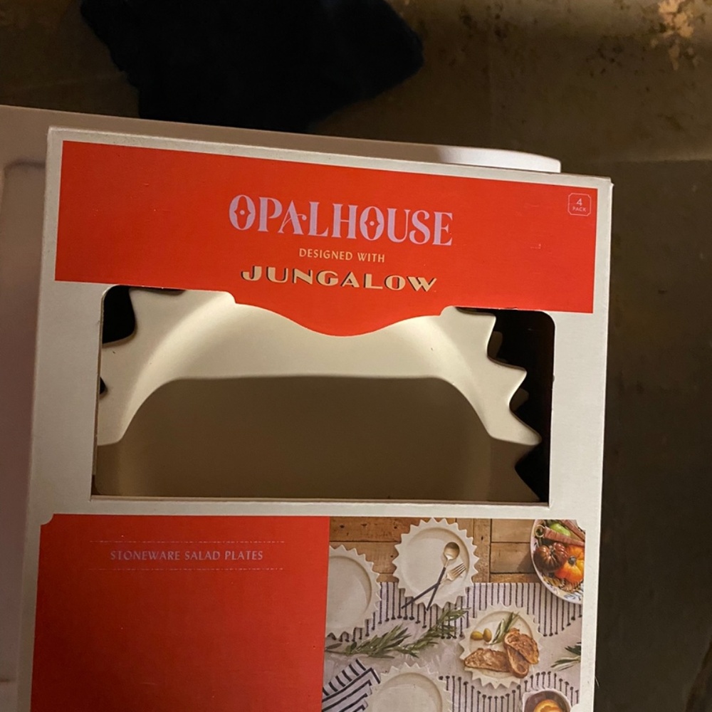 Opalhouse salad plates